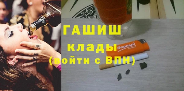 индика Пестово