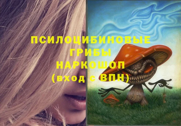 дмт Покровск