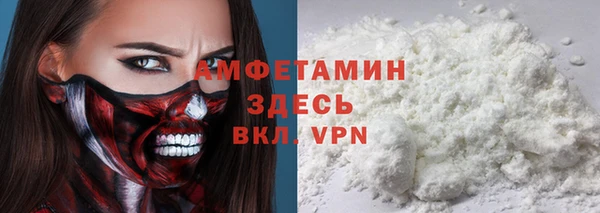 твердый Пересвет