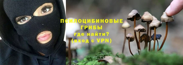 гашик Покров
