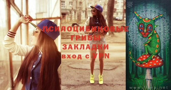 твердый Пересвет
