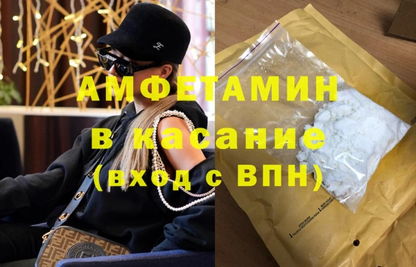 индика Пестово