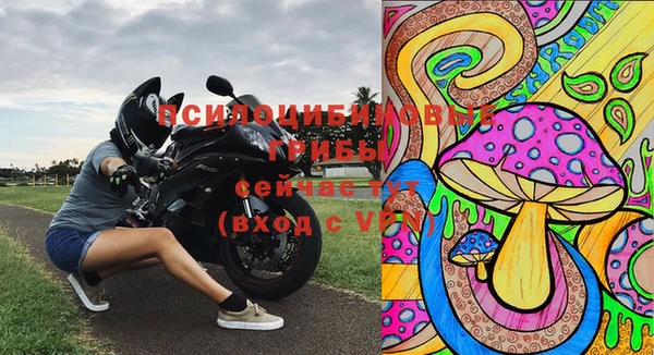 марки lsd Переславль-Залесский