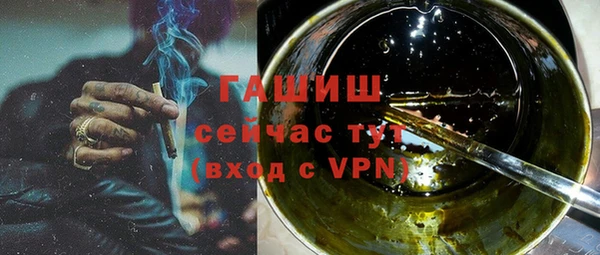индика Пестово