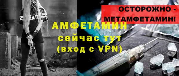 твердый Пересвет