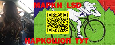 мяу мяу мука Абакан