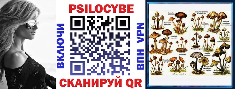 Галлюциногенные грибы Psilocybine cubensis  kraken сайт  Татарск 