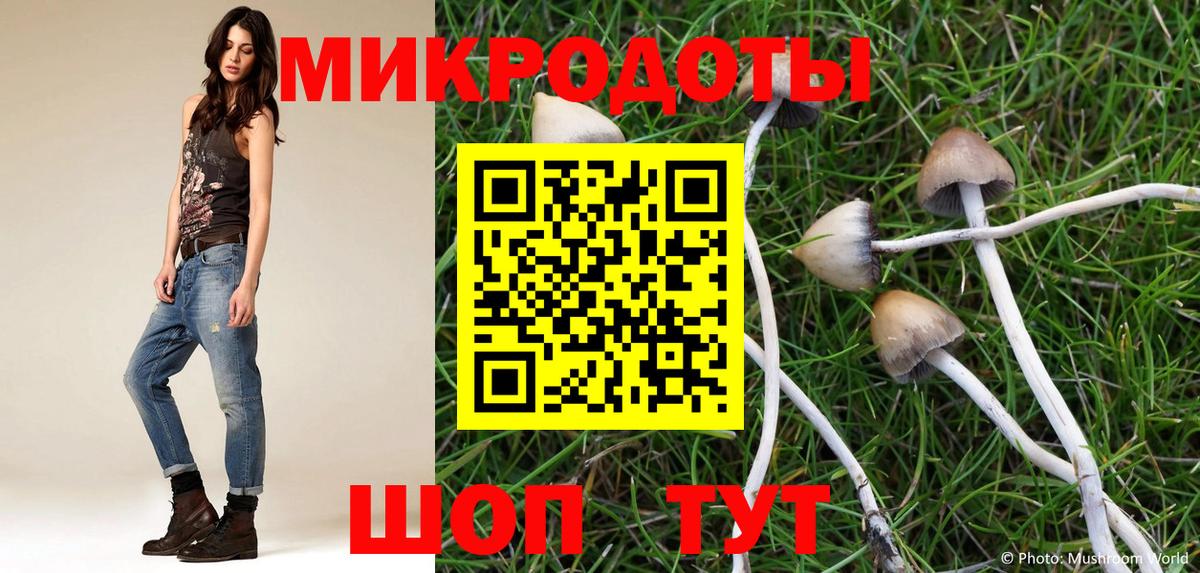 Татарск  Галлюциногенные грибы Cubensis  Вход с VPN 