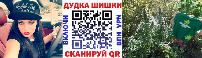 Конопля план  blacksprut рабочий сайт  Татарск 